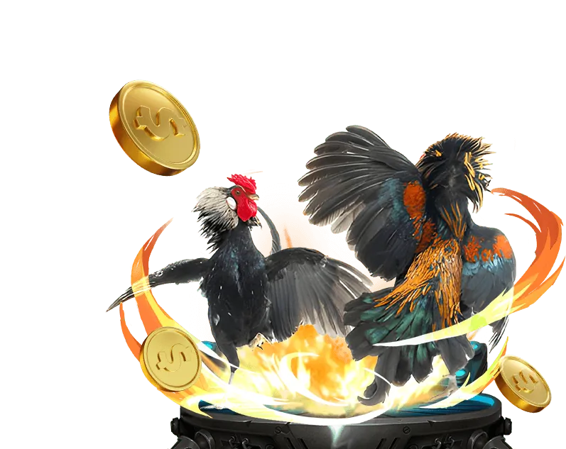 Tỷ lệ thắng cao của JILI 178 Super Ace